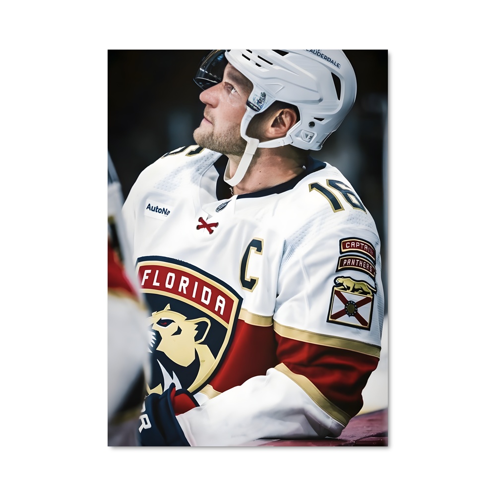Poster Le Barbu de la Glace